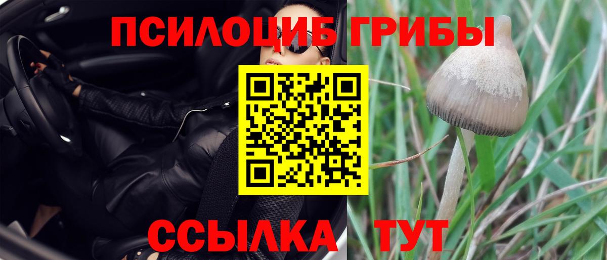 Галлюциногенные грибы ЛСД Лангепас