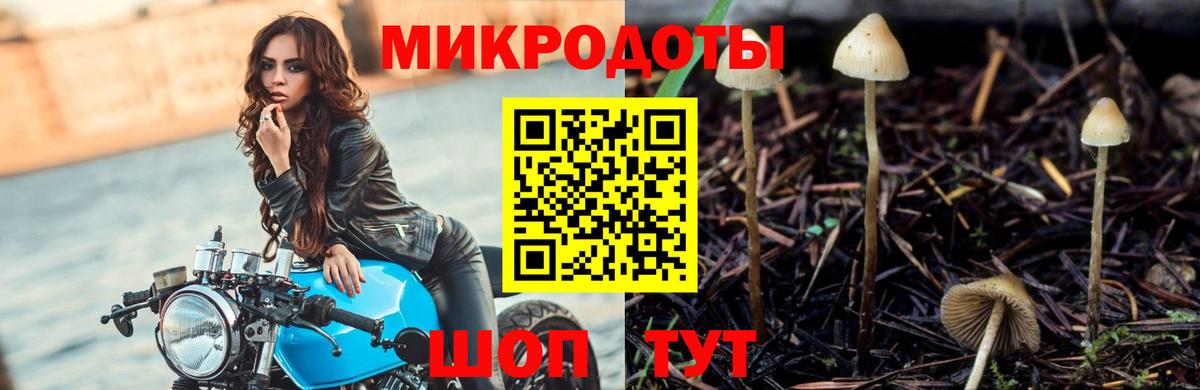 Галлюциногенные грибы Cubensis  Псилоцибиновые грибы Psilocybine cubensis  Вход с VPN  Лангепас 